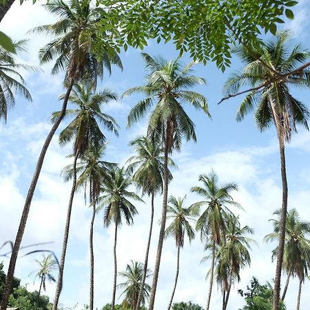 Centre Touristique Et Culturel Casamance Guest House Diakene Ouolof Ngoại thất bức ảnh