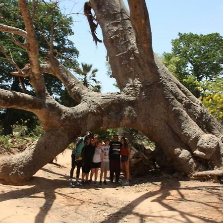 Centre Touristique Et Culturel Casamance Guest House Diakene Ouolof Ngoại thất bức ảnh