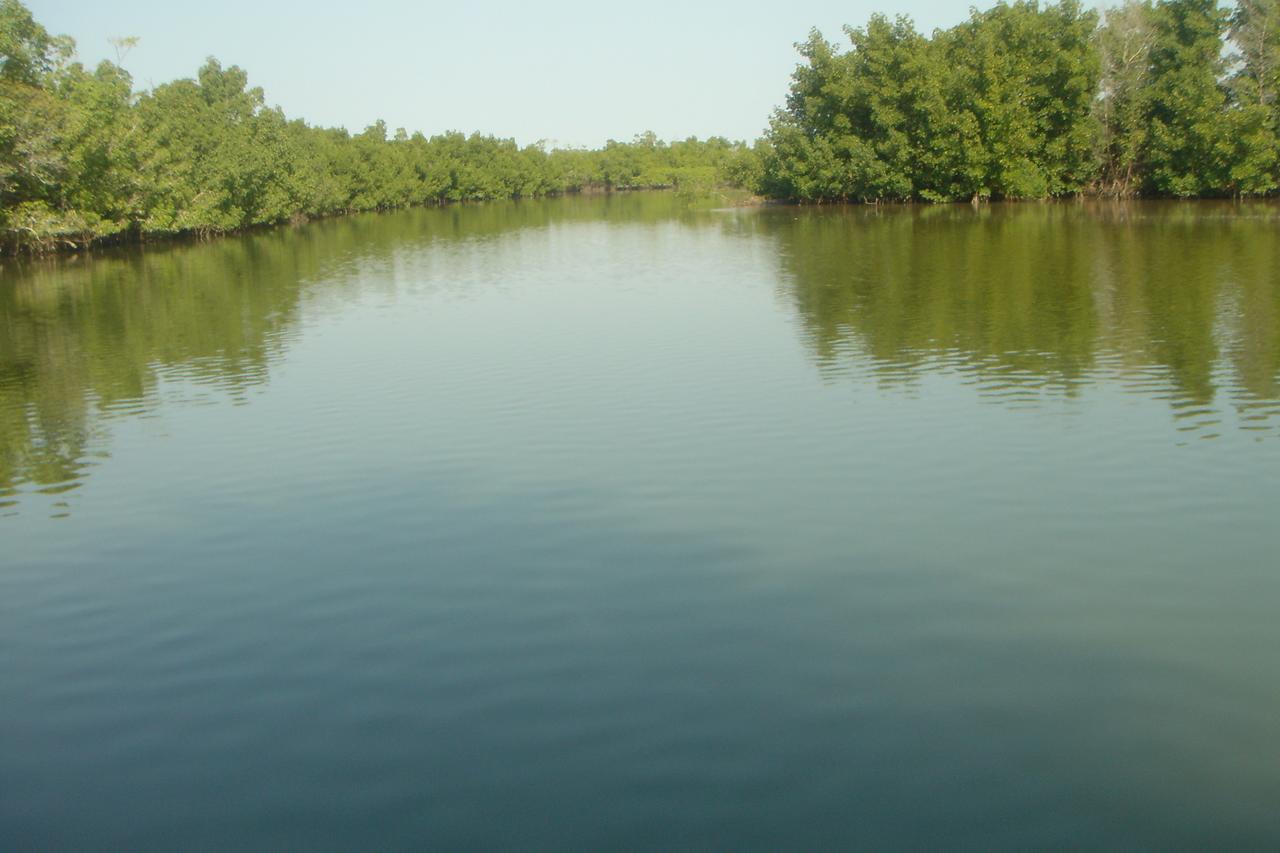 Centre Touristique Et Culturel Casamance Guest House Diakene Ouolof Ngoại thất bức ảnh