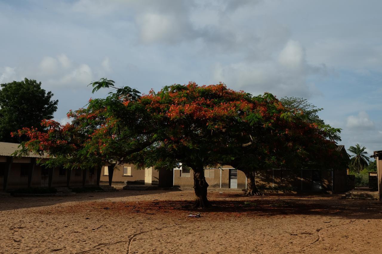 Centre Touristique Et Culturel Casamance Guest House Diakene Ouolof Ngoại thất bức ảnh