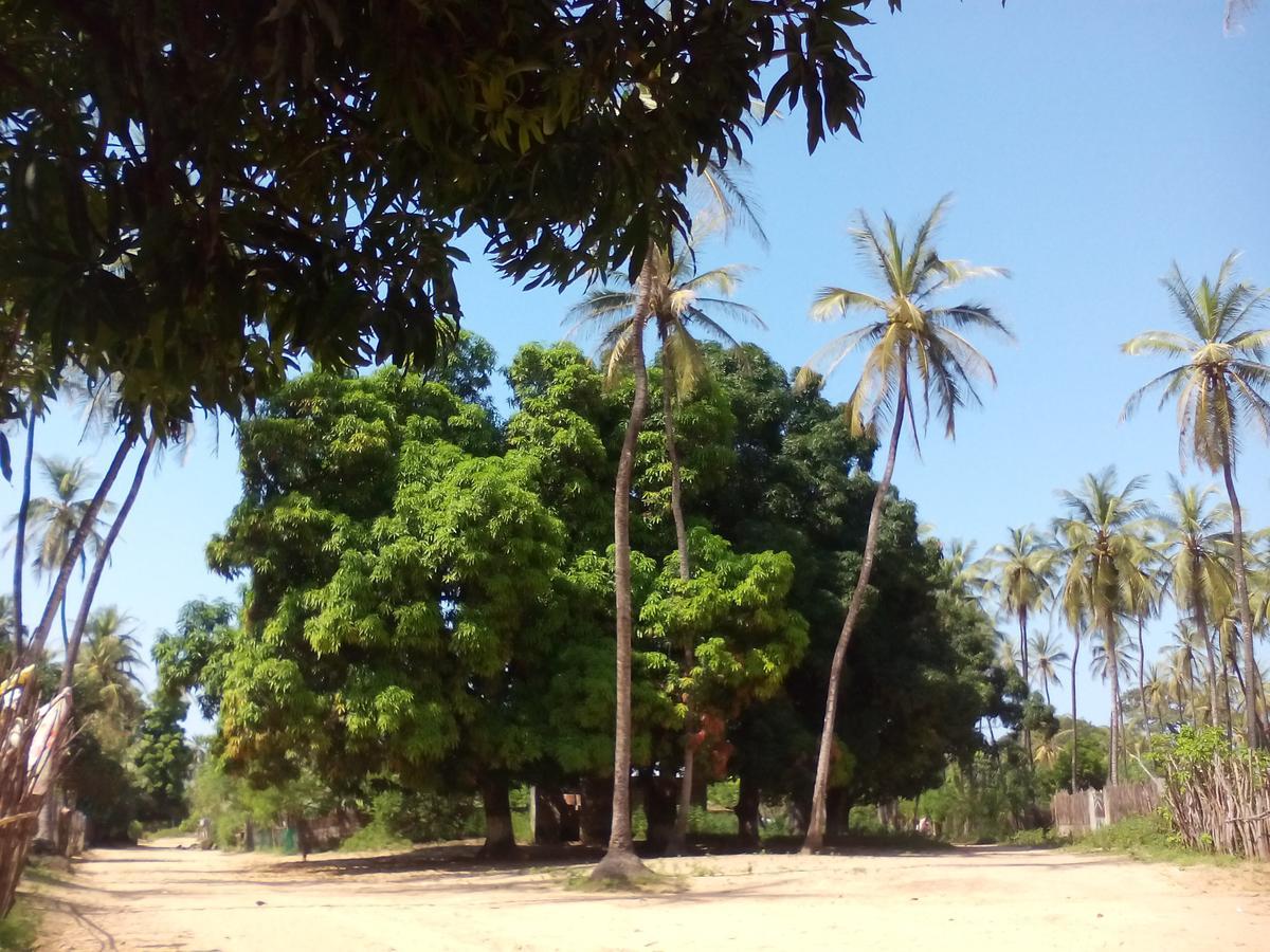 Centre Touristique Et Culturel Casamance Guest House Diakene Ouolof Ngoại thất bức ảnh