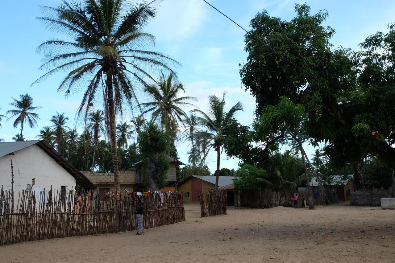Centre Touristique Et Culturel Casamance Guest House Diakene Ouolof Ngoại thất bức ảnh