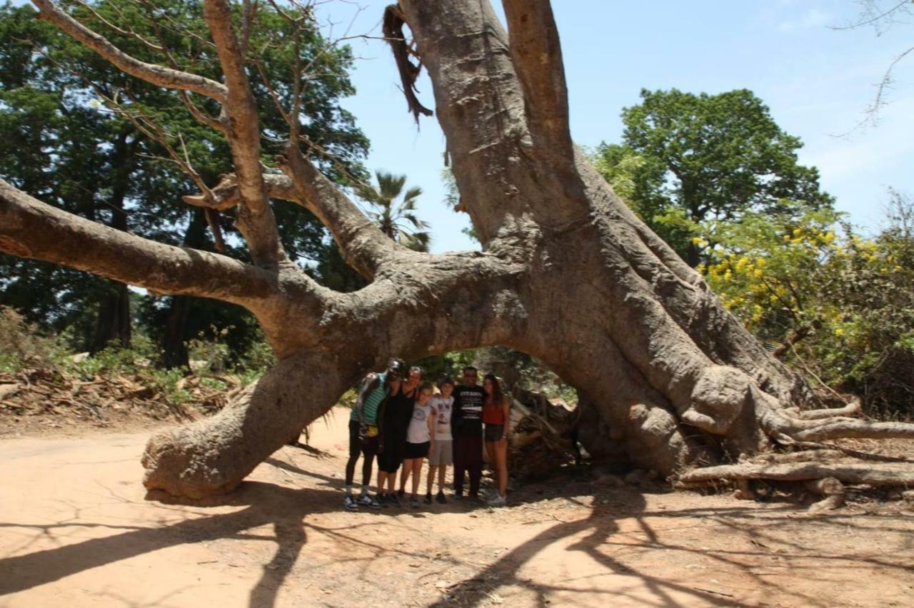 Centre Touristique Et Culturel Casamance Guest House Diakene Ouolof Ngoại thất bức ảnh