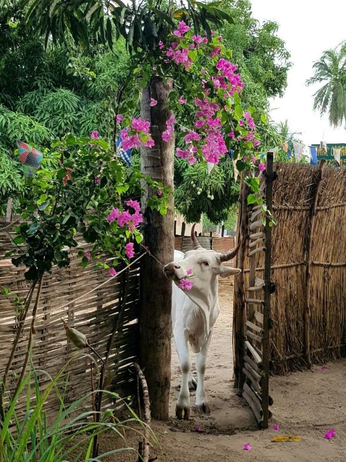 Centre Touristique Et Culturel Casamance Guest House Diakene Ouolof Ngoại thất bức ảnh