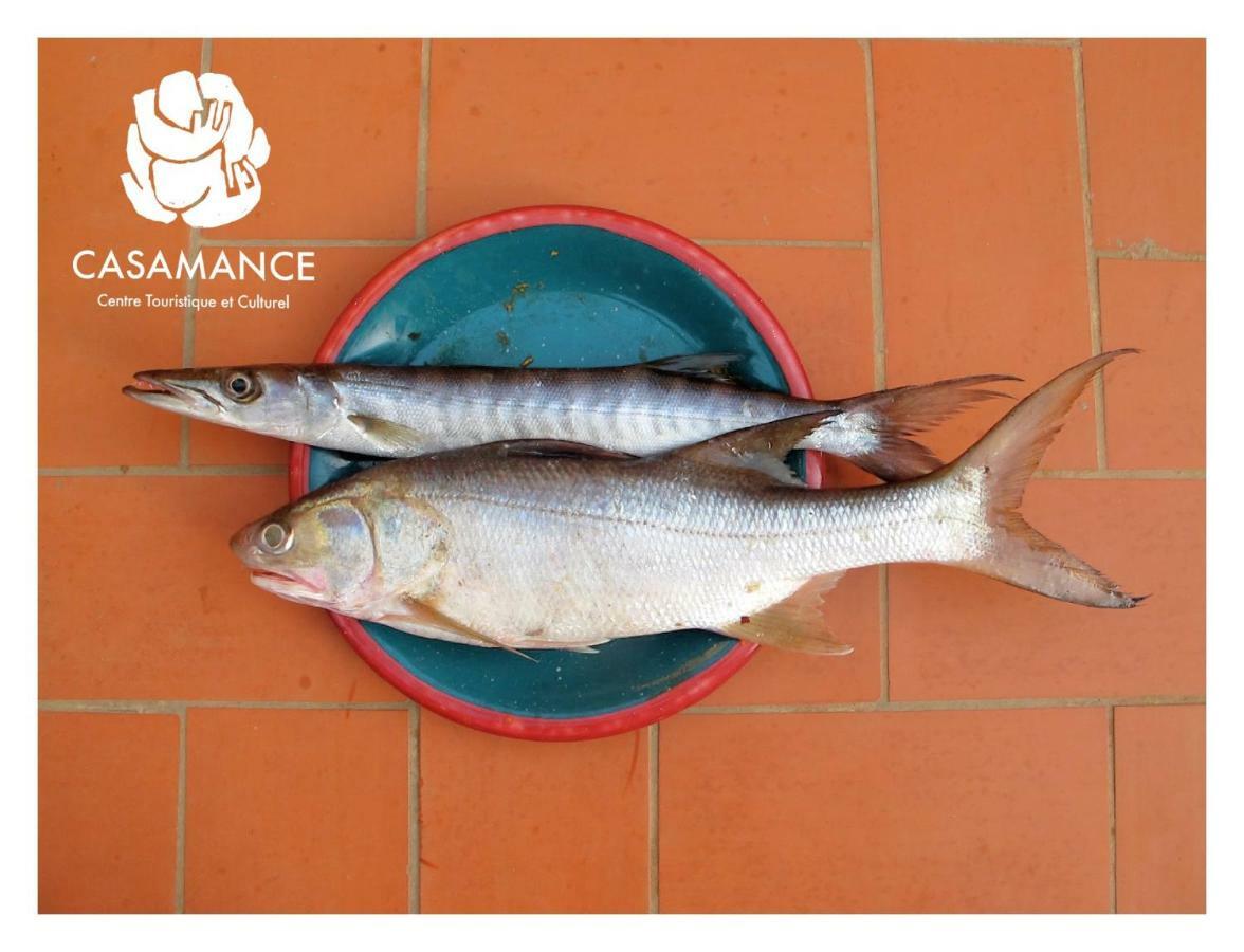 Centre Touristique Et Culturel Casamance Guest House Diakene Ouolof Ngoại thất bức ảnh